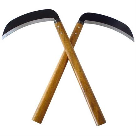 Steel Blade Oak Kamas